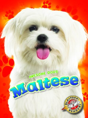 cover image of Maltese
